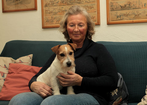 Alcuni miei Jack Russell Terrier