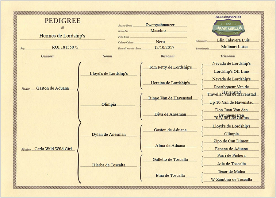 pedigree di hermes-de-lordships