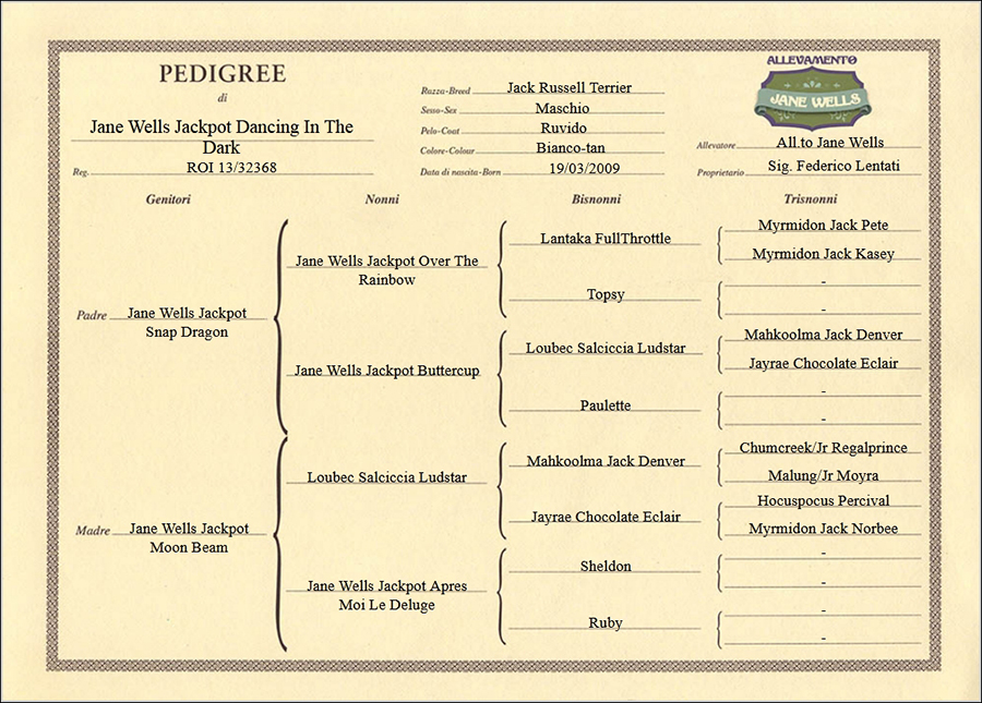 pedigree di jane-wells-jackpot-dancing-in-the-dark