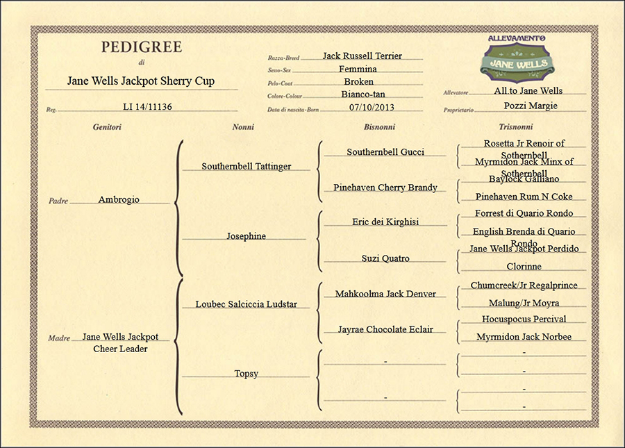 pedigree di jane-wells-jackpot-sherry-cup