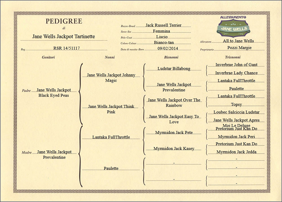 pedigree di jane-wells-jackpot-tartinette