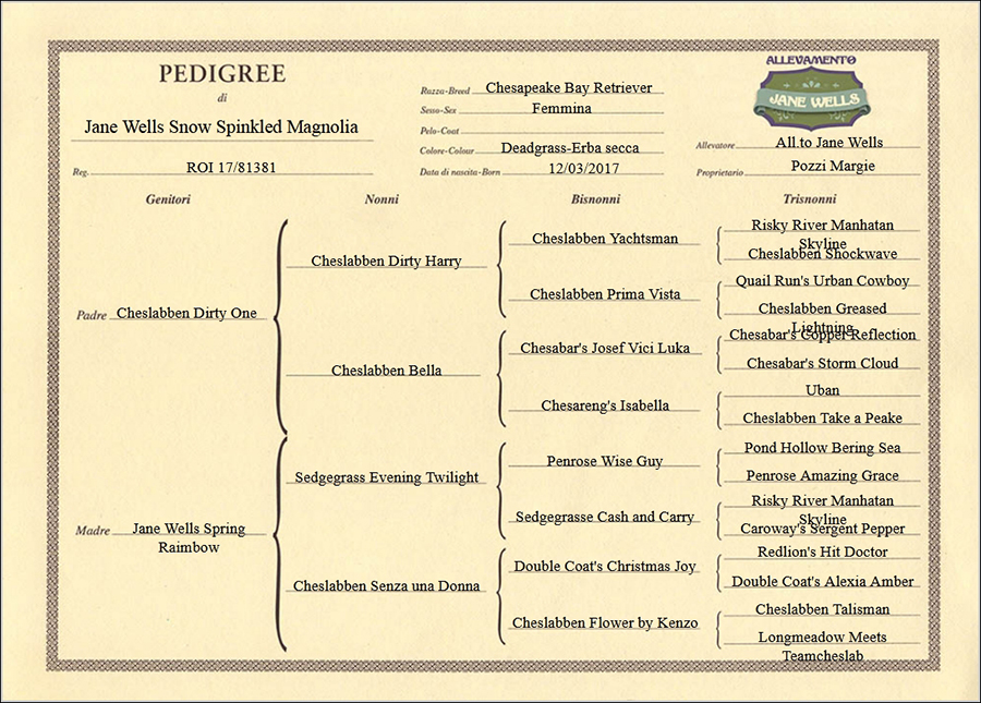 pedigree di jane-wells-spring-rainbow