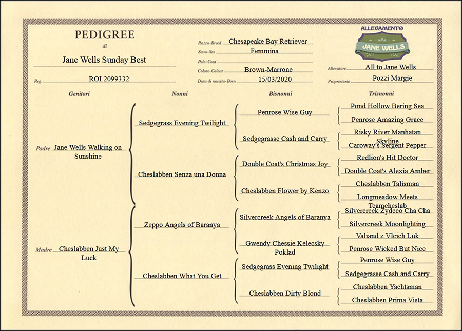 pedigree di jane-wells-sunday-best